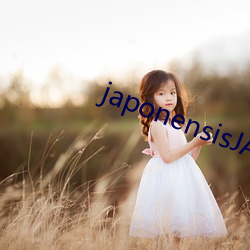 japonensisJAVA可播