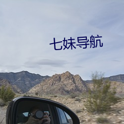 七妹導航
