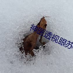 vwin·德赢(中国) - 官方网站