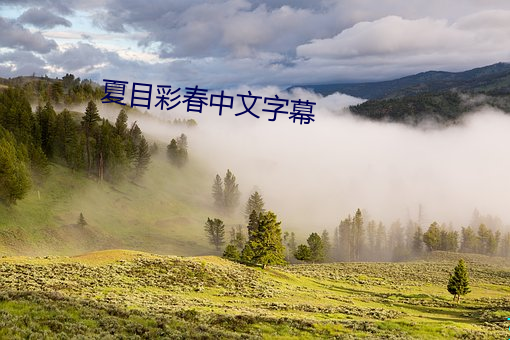 夏目彩春中文字幕