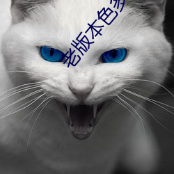 老版本色多多