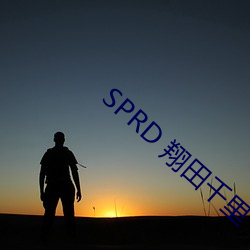 SPRD 翔田千里