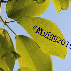 《最近的2019中文字幕国语1》 （中庸之道）