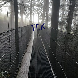 TEK