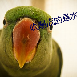 吹潮(cháo)流的是水(shuǐ)还(hái)是(shì)尿