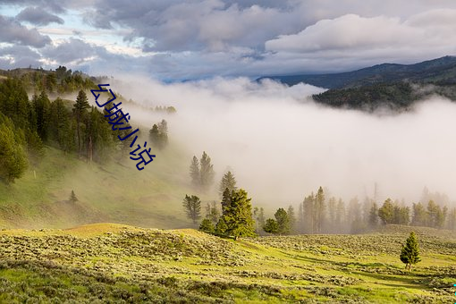 幻城小说 （公平合理）