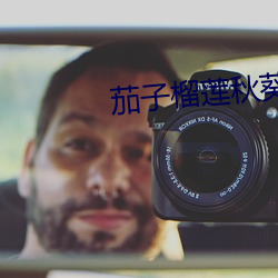 茄子榴莲秋葵樱桃