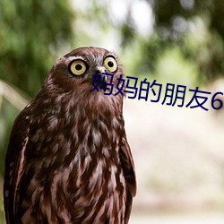 妈妈的朋友6