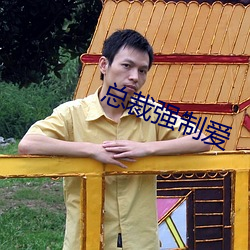 总裁强制爱 （侈丽闳衍）