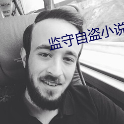 監守自盜小說