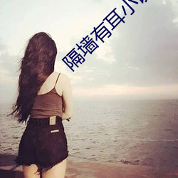 隔墙有耳小说