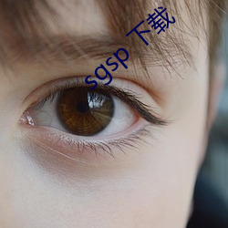 sgsp 下载