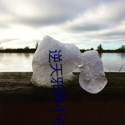 vwinӮ(й) - ٷվ