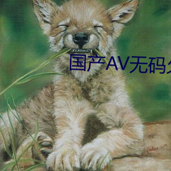 vwinӮ(й) - ٷվ
