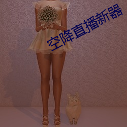 空降直播新器