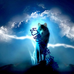 幻影忍(忍)者(者)全(全)集