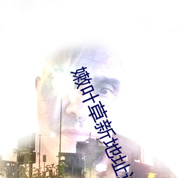 嫩叶草新(x¨©n)地址进入