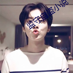 監守自盜小說