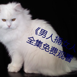 《男人捅(tǒng)女(nǚ)人下(xià)面(miàn)视频》国语版(bǎn)高清(qīng)全集免费观看