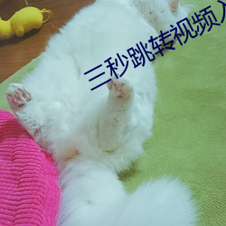 三(三)秒跳转视(視)频(頻)入口(口)