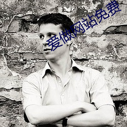 爱做网站免(miǎn)费