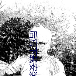 后宫下载安装