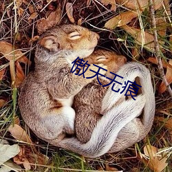 傲天无痕