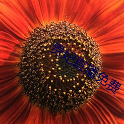米乐M6·(中国)官方网站
