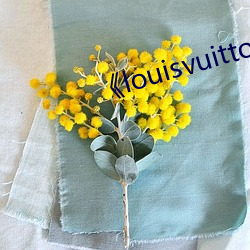 《louisvuitton欧洲