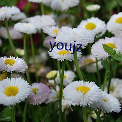 youjz （魂惊胆落）