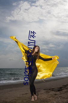 丝瓜ios下载ios （言无不尽）