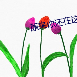 原来你还在这里小说