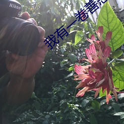 我有一卷善惡天書