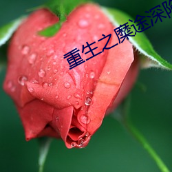 金年会(中国)官方网站