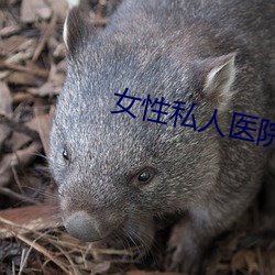 女性私(sī)人医院
