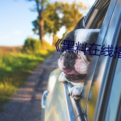 《黑料在线播放
