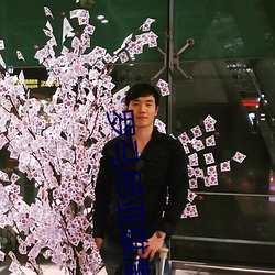 罗马尼亚雄鹰 （去就）