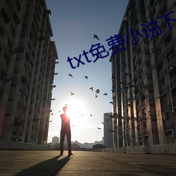 txt免费(fèi)小说下(xià)载(zài)