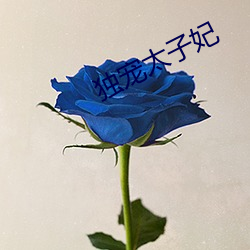 独(獨)宠太(太)子妃