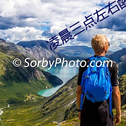 凌晨三点左右醒来是哪个器(器)官出问题