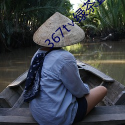 367t∨绿茶直播