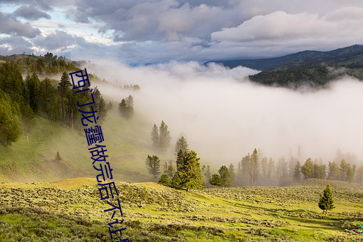 西门龙霆做完后不让景佳人 （却之不恭）