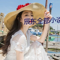 辰东全部小说