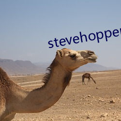 stevehopper4k