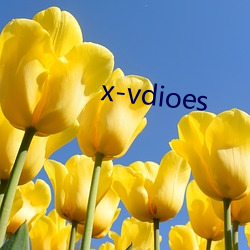 x-vdioes