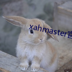 xahmaster官网