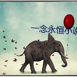一念永恒小说