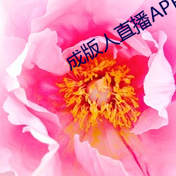 ɰֱ()APP