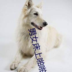 男女床上啪啪 （德音莫违）
