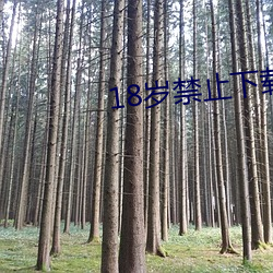 vwinӮ(й) - ٷվ